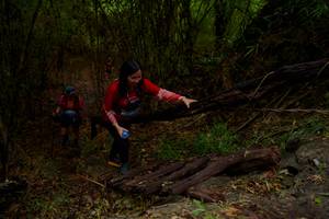 BIB: 
                            <button type="button" onclick="openModal(22023152)" class="btn btn-primary btn-sm float-right btn-popup" data-toggle="modal" data-target=".modal-high-quality">
                        <i class="fas fa-shopping-cart"></i> Add to Cart
                    </button>
                                            <button type="button" onclick="isThisMe(22023152, true)" class="btn btn-success btn-sm float-right btn-popup btn-isme hidden" data-toggle="tooltip" data-placement="bottom" title="นี่คือรูปของคุณใช่ไหม คลิกที่นี่เพื่อเอาเข้าอัลบั้ม">
                        <i class="fas fa-plus"></i> Add to album
                    </button>
                    <button type="button" onclick="isThisMe(22023152, false)" class="btn btn-warning btn-sm float-right btn-popup btn-isnotme hidden">
                        <i class="fas fa-ban"></i> Remove from album
                    </button>