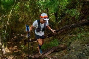 BIB: 
                            <button type="button" onclick="openModal(22025197)" class="btn btn-primary btn-sm float-right btn-popup" data-toggle="modal" data-target=".modal-high-quality">
                        <i class="fas fa-shopping-cart"></i> Add to Cart
                    </button>
                                            <button type="button" onclick="isThisMe(22025197, true)" class="btn btn-success btn-sm float-right btn-popup btn-isme hidden" data-toggle="tooltip" data-placement="bottom" title="นี่คือรูปของคุณใช่ไหม คลิกที่นี่เพื่อเอาเข้าอัลบั้ม">
                        <i class="fas fa-plus"></i> Add to album
                    </button>
                    <button type="button" onclick="isThisMe(22025197, false)" class="btn btn-warning btn-sm float-right btn-popup btn-isnotme hidden">
                        <i class="fas fa-ban"></i> Remove from album
                    </button>