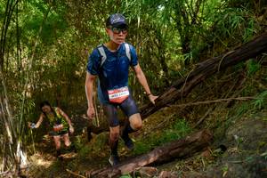 BIB: 2306
                            <button type="button" onclick="openModal(22025216)" class="btn btn-primary btn-sm float-right btn-popup" data-toggle="modal" data-target=".modal-high-quality">
                        <i class="fas fa-shopping-cart"></i> Add to Cart
                    </button>
                                            <button type="button" onclick="isThisMe(22025216, true)" class="btn btn-success btn-sm float-right btn-popup btn-isme hidden" data-toggle="tooltip" data-placement="bottom" title="นี่คือรูปของคุณใช่ไหม คลิกที่นี่เพื่อเอาเข้าอัลบั้ม">
                        <i class="fas fa-plus"></i> Add to album
                    </button>
                    <button type="button" onclick="isThisMe(22025216, false)" class="btn btn-warning btn-sm float-right btn-popup btn-isnotme hidden">
                        <i class="fas fa-ban"></i> Remove from album
                    </button>