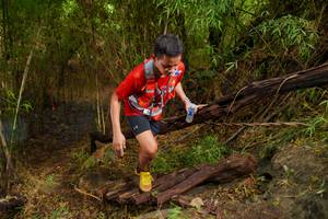 BIB: 
                            <button type="button" onclick="openModal(22025308)" class="btn btn-primary btn-sm float-right btn-popup" data-toggle="modal" data-target=".modal-high-quality">
                        <i class="fas fa-shopping-cart"></i> Add to Cart
                    </button>
                                            <button type="button" onclick="isThisMe(22025308, true)" class="btn btn-success btn-sm float-right btn-popup btn-isme hidden" data-toggle="tooltip" data-placement="bottom" title="นี่คือรูปของคุณใช่ไหม คลิกที่นี่เพื่อเอาเข้าอัลบั้ม">
                        <i class="fas fa-plus"></i> Add to album
                    </button>
                    <button type="button" onclick="isThisMe(22025308, false)" class="btn btn-warning btn-sm float-right btn-popup btn-isnotme hidden">
                        <i class="fas fa-ban"></i> Remove from album
                    </button>