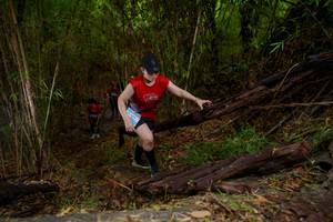 BIB: 
                            <button type="button" onclick="openModal(22022706)" class="btn btn-primary btn-sm float-right btn-popup" data-toggle="modal" data-target=".modal-high-quality">
                        <i class="fas fa-shopping-cart"></i> Add to Cart
                    </button>
                                            <button type="button" onclick="isThisMe(22022706, true)" class="btn btn-success btn-sm float-right btn-popup btn-isme hidden" data-toggle="tooltip" data-placement="bottom" title="นี่คือรูปของคุณใช่ไหม คลิกที่นี่เพื่อเอาเข้าอัลบั้ม">
                        <i class="fas fa-plus"></i> Add to album
                    </button>
                    <button type="button" onclick="isThisMe(22022706, false)" class="btn btn-warning btn-sm float-right btn-popup btn-isnotme hidden">
                        <i class="fas fa-ban"></i> Remove from album
                    </button>