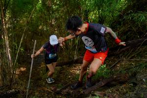 BIB: 
                            <button type="button" onclick="openModal(22025066)" class="btn btn-primary btn-sm float-right btn-popup" data-toggle="modal" data-target=".modal-high-quality">
                        <i class="fas fa-shopping-cart"></i> Add to Cart
                    </button>
                                            <button type="button" onclick="isThisMe(22025066, true)" class="btn btn-success btn-sm float-right btn-popup btn-isme hidden" data-toggle="tooltip" data-placement="bottom" title="นี่คือรูปของคุณใช่ไหม คลิกที่นี่เพื่อเอาเข้าอัลบั้ม">
                        <i class="fas fa-plus"></i> Add to album
                    </button>
                    <button type="button" onclick="isThisMe(22025066, false)" class="btn btn-warning btn-sm float-right btn-popup btn-isnotme hidden">
                        <i class="fas fa-ban"></i> Remove from album
                    </button>