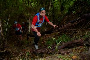 BIB: 
                            <button type="button" onclick="openModal(22019381)" class="btn btn-primary btn-sm float-right btn-popup" data-toggle="modal" data-target=".modal-high-quality">
                        <i class="fas fa-shopping-cart"></i> Add to Cart
                    </button>
                                            <button type="button" onclick="isThisMe(22019381, true)" class="btn btn-success btn-sm float-right btn-popup btn-isme hidden" data-toggle="tooltip" data-placement="bottom" title="นี่คือรูปของคุณใช่ไหม คลิกที่นี่เพื่อเอาเข้าอัลบั้ม">
                        <i class="fas fa-plus"></i> Add to album
                    </button>
                    <button type="button" onclick="isThisMe(22019381, false)" class="btn btn-warning btn-sm float-right btn-popup btn-isnotme hidden">
                        <i class="fas fa-ban"></i> Remove from album
                    </button>