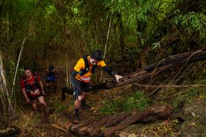 BIB: 
                            <button type="button" onclick="openModal(22025342)" class="btn btn-primary btn-sm float-right btn-popup" data-toggle="modal" data-target=".modal-high-quality">
                        <i class="fas fa-shopping-cart"></i> Add to Cart
                    </button>
                                            <button type="button" onclick="isThisMe(22025342, true)" class="btn btn-success btn-sm float-right btn-popup btn-isme hidden" data-toggle="tooltip" data-placement="bottom" title="นี่คือรูปของคุณใช่ไหม คลิกที่นี่เพื่อเอาเข้าอัลบั้ม">
                        <i class="fas fa-plus"></i> Add to album
                    </button>
                    <button type="button" onclick="isThisMe(22025342, false)" class="btn btn-warning btn-sm float-right btn-popup btn-isnotme hidden">
                        <i class="fas fa-ban"></i> Remove from album
                    </button>