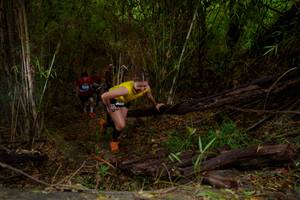 BIB: 
                            <button type="button" onclick="openModal(22019296)" class="btn btn-primary btn-sm float-right btn-popup" data-toggle="modal" data-target=".modal-high-quality">
                        <i class="fas fa-shopping-cart"></i> Add to Cart
                    </button>
                                            <button type="button" onclick="isThisMe(22019296, true)" class="btn btn-success btn-sm float-right btn-popup btn-isme hidden" data-toggle="tooltip" data-placement="bottom" title="นี่คือรูปของคุณใช่ไหม คลิกที่นี่เพื่อเอาเข้าอัลบั้ม">
                        <i class="fas fa-plus"></i> Add to album
                    </button>
                    <button type="button" onclick="isThisMe(22019296, false)" class="btn btn-warning btn-sm float-right btn-popup btn-isnotme hidden">
                        <i class="fas fa-ban"></i> Remove from album
                    </button>