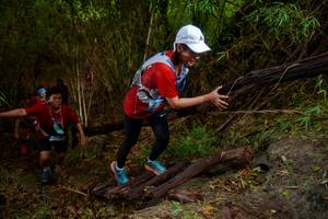 BIB: 
                            <button type="button" onclick="openModal(22023093)" class="btn btn-primary btn-sm float-right btn-popup" data-toggle="modal" data-target=".modal-high-quality">
                        <i class="fas fa-shopping-cart"></i> Add to Cart
                    </button>
                                            <button type="button" onclick="isThisMe(22023093, true)" class="btn btn-success btn-sm float-right btn-popup btn-isme hidden" data-toggle="tooltip" data-placement="bottom" title="นี่คือรูปของคุณใช่ไหม คลิกที่นี่เพื่อเอาเข้าอัลบั้ม">
                        <i class="fas fa-plus"></i> Add to album
                    </button>
                    <button type="button" onclick="isThisMe(22023093, false)" class="btn btn-warning btn-sm float-right btn-popup btn-isnotme hidden">
                        <i class="fas fa-ban"></i> Remove from album
                    </button>