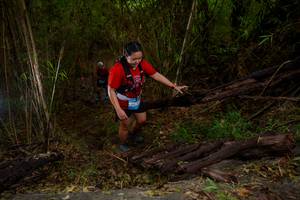 BIB: 
                            <button type="button" onclick="openModal(22023347)" class="btn btn-primary btn-sm float-right btn-popup" data-toggle="modal" data-target=".modal-high-quality">
                        <i class="fas fa-shopping-cart"></i> Add to Cart
                    </button>
                                            <button type="button" onclick="isThisMe(22023347, true)" class="btn btn-success btn-sm float-right btn-popup btn-isme hidden" data-toggle="tooltip" data-placement="bottom" title="นี่คือรูปของคุณใช่ไหม คลิกที่นี่เพื่อเอาเข้าอัลบั้ม">
                        <i class="fas fa-plus"></i> Add to album
                    </button>
                    <button type="button" onclick="isThisMe(22023347, false)" class="btn btn-warning btn-sm float-right btn-popup btn-isnotme hidden">
                        <i class="fas fa-ban"></i> Remove from album
                    </button>