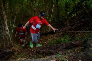 BIB: 
                            <button type="button" onclick="openModal(22024378)" class="btn btn-primary btn-sm float-right btn-popup" data-toggle="modal" data-target=".modal-high-quality">
                        <i class="fas fa-shopping-cart"></i> Add to Cart
                    </button>
                                            <button type="button" onclick="isThisMe(22024378, true)" class="btn btn-success btn-sm float-right btn-popup btn-isme hidden" data-toggle="tooltip" data-placement="bottom" title="นี่คือรูปของคุณใช่ไหม คลิกที่นี่เพื่อเอาเข้าอัลบั้ม">
                        <i class="fas fa-plus"></i> Add to album
                    </button>
                    <button type="button" onclick="isThisMe(22024378, false)" class="btn btn-warning btn-sm float-right btn-popup btn-isnotme hidden">
                        <i class="fas fa-ban"></i> Remove from album
                    </button>