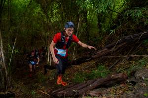 BIB: 1340
                            <button type="button" onclick="openModal(22019807)" class="btn btn-primary btn-sm float-right btn-popup" data-toggle="modal" data-target=".modal-high-quality">
                        <i class="fas fa-shopping-cart"></i> Add to Cart
                    </button>
                                            <button type="button" onclick="isThisMe(22019807, true)" class="btn btn-success btn-sm float-right btn-popup btn-isme hidden" data-toggle="tooltip" data-placement="bottom" title="นี่คือรูปของคุณใช่ไหม คลิกที่นี่เพื่อเอาเข้าอัลบั้ม">
                        <i class="fas fa-plus"></i> Add to album
                    </button>
                    <button type="button" onclick="isThisMe(22019807, false)" class="btn btn-warning btn-sm float-right btn-popup btn-isnotme hidden">
                        <i class="fas fa-ban"></i> Remove from album
                    </button>