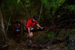 BIB: 
                            <button type="button" onclick="openModal(22023975)" class="btn btn-primary btn-sm float-right btn-popup" data-toggle="modal" data-target=".modal-high-quality">
                        <i class="fas fa-shopping-cart"></i> Add to Cart
                    </button>
                                            <button type="button" onclick="isThisMe(22023975, true)" class="btn btn-success btn-sm float-right btn-popup btn-isme hidden" data-toggle="tooltip" data-placement="bottom" title="นี่คือรูปของคุณใช่ไหม คลิกที่นี่เพื่อเอาเข้าอัลบั้ม">
                        <i class="fas fa-plus"></i> Add to album
                    </button>
                    <button type="button" onclick="isThisMe(22023975, false)" class="btn btn-warning btn-sm float-right btn-popup btn-isnotme hidden">
                        <i class="fas fa-ban"></i> Remove from album
                    </button>