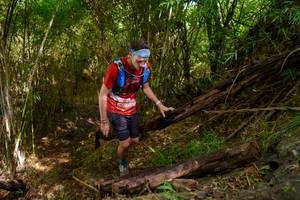 BIB: 
                            <button type="button" onclick="openModal(22025209)" class="btn btn-primary btn-sm float-right btn-popup" data-toggle="modal" data-target=".modal-high-quality">
                        <i class="fas fa-shopping-cart"></i> Add to Cart
                    </button>
                                            <button type="button" onclick="isThisMe(22025209, true)" class="btn btn-success btn-sm float-right btn-popup btn-isme hidden" data-toggle="tooltip" data-placement="bottom" title="นี่คือรูปของคุณใช่ไหม คลิกที่นี่เพื่อเอาเข้าอัลบั้ม">
                        <i class="fas fa-plus"></i> Add to album
                    </button>
                    <button type="button" onclick="isThisMe(22025209, false)" class="btn btn-warning btn-sm float-right btn-popup btn-isnotme hidden">
                        <i class="fas fa-ban"></i> Remove from album
                    </button>