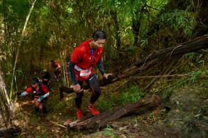 BIB: 
                            <button type="button" onclick="openModal(22025160)" class="btn btn-primary btn-sm float-right btn-popup" data-toggle="modal" data-target=".modal-high-quality">
                        <i class="fas fa-shopping-cart"></i> Add to Cart
                    </button>
                                            <button type="button" onclick="isThisMe(22025160, true)" class="btn btn-success btn-sm float-right btn-popup btn-isme hidden" data-toggle="tooltip" data-placement="bottom" title="นี่คือรูปของคุณใช่ไหม คลิกที่นี่เพื่อเอาเข้าอัลบั้ม">
                        <i class="fas fa-plus"></i> Add to album
                    </button>
                    <button type="button" onclick="isThisMe(22025160, false)" class="btn btn-warning btn-sm float-right btn-popup btn-isnotme hidden">
                        <i class="fas fa-ban"></i> Remove from album
                    </button>