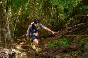 BIB: 
                            <button type="button" onclick="openModal(22025259)" class="btn btn-primary btn-sm float-right btn-popup" data-toggle="modal" data-target=".modal-high-quality">
                        <i class="fas fa-shopping-cart"></i> Add to Cart
                    </button>
                                            <button type="button" onclick="isThisMe(22025259, true)" class="btn btn-success btn-sm float-right btn-popup btn-isme hidden" data-toggle="tooltip" data-placement="bottom" title="นี่คือรูปของคุณใช่ไหม คลิกที่นี่เพื่อเอาเข้าอัลบั้ม">
                        <i class="fas fa-plus"></i> Add to album
                    </button>
                    <button type="button" onclick="isThisMe(22025259, false)" class="btn btn-warning btn-sm float-right btn-popup btn-isnotme hidden">
                        <i class="fas fa-ban"></i> Remove from album
                    </button>