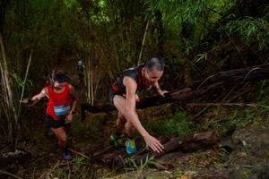 BIB: 11092
                            <button type="button" onclick="openModal(22019172)" class="btn btn-primary btn-sm float-right btn-popup" data-toggle="modal" data-target=".modal-high-quality">
                        <i class="fas fa-shopping-cart"></i> Add to Cart
                    </button>
                                            <button type="button" onclick="isThisMe(22019172, true)" class="btn btn-success btn-sm float-right btn-popup btn-isme hidden" data-toggle="tooltip" data-placement="bottom" title="นี่คือรูปของคุณใช่ไหม คลิกที่นี่เพื่อเอาเข้าอัลบั้ม">
                        <i class="fas fa-plus"></i> Add to album
                    </button>
                    <button type="button" onclick="isThisMe(22019172, false)" class="btn btn-warning btn-sm float-right btn-popup btn-isnotme hidden">
                        <i class="fas fa-ban"></i> Remove from album
                    </button>