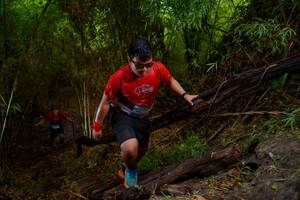 BIB: 
                            <button type="button" onclick="openModal(22022614)" class="btn btn-primary btn-sm float-right btn-popup" data-toggle="modal" data-target=".modal-high-quality">
                        <i class="fas fa-shopping-cart"></i> Add to Cart
                    </button>
                                            <button type="button" onclick="isThisMe(22022614, true)" class="btn btn-success btn-sm float-right btn-popup btn-isme hidden" data-toggle="tooltip" data-placement="bottom" title="นี่คือรูปของคุณใช่ไหม คลิกที่นี่เพื่อเอาเข้าอัลบั้ม">
                        <i class="fas fa-plus"></i> Add to album
                    </button>
                    <button type="button" onclick="isThisMe(22022614, false)" class="btn btn-warning btn-sm float-right btn-popup btn-isnotme hidden">
                        <i class="fas fa-ban"></i> Remove from album
                    </button>