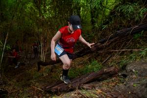 BIB: 201252
                            <button type="button" onclick="openModal(22022715)" class="btn btn-primary btn-sm float-right btn-popup" data-toggle="modal" data-target=".modal-high-quality">
                        <i class="fas fa-shopping-cart"></i> Add to Cart
                    </button>
                                            <button type="button" onclick="isThisMe(22022715, true)" class="btn btn-success btn-sm float-right btn-popup btn-isme hidden" data-toggle="tooltip" data-placement="bottom" title="นี่คือรูปของคุณใช่ไหม คลิกที่นี่เพื่อเอาเข้าอัลบั้ม">
                        <i class="fas fa-plus"></i> Add to album
                    </button>
                    <button type="button" onclick="isThisMe(22022715, false)" class="btn btn-warning btn-sm float-right btn-popup btn-isnotme hidden">
                        <i class="fas fa-ban"></i> Remove from album
                    </button>