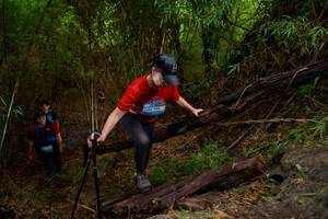 BIB: 113
                            <button type="button" onclick="openModal(22022807)" class="btn btn-primary btn-sm float-right btn-popup" data-toggle="modal" data-target=".modal-high-quality">
                        <i class="fas fa-shopping-cart"></i> Add to Cart
                    </button>
                                            <button type="button" onclick="isThisMe(22022807, true)" class="btn btn-success btn-sm float-right btn-popup btn-isme hidden" data-toggle="tooltip" data-placement="bottom" title="นี่คือรูปของคุณใช่ไหม คลิกที่นี่เพื่อเอาเข้าอัลบั้ม">
                        <i class="fas fa-plus"></i> Add to album
                    </button>
                    <button type="button" onclick="isThisMe(22022807, false)" class="btn btn-warning btn-sm float-right btn-popup btn-isnotme hidden">
                        <i class="fas fa-ban"></i> Remove from album
                    </button>