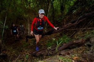 BIB: 
                            <button type="button" onclick="openModal(22019402)" class="btn btn-primary btn-sm float-right btn-popup" data-toggle="modal" data-target=".modal-high-quality">
                        <i class="fas fa-shopping-cart"></i> Add to Cart
                    </button>
                                            <button type="button" onclick="isThisMe(22019402, true)" class="btn btn-success btn-sm float-right btn-popup btn-isme hidden" data-toggle="tooltip" data-placement="bottom" title="นี่คือรูปของคุณใช่ไหม คลิกที่นี่เพื่อเอาเข้าอัลบั้ม">
                        <i class="fas fa-plus"></i> Add to album
                    </button>
                    <button type="button" onclick="isThisMe(22019402, false)" class="btn btn-warning btn-sm float-right btn-popup btn-isnotme hidden">
                        <i class="fas fa-ban"></i> Remove from album
                    </button>