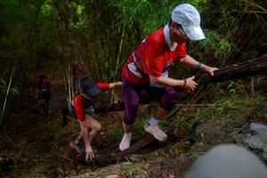 BIB: 
                            <button type="button" onclick="openModal(22023655)" class="btn btn-primary btn-sm float-right btn-popup" data-toggle="modal" data-target=".modal-high-quality">
                        <i class="fas fa-shopping-cart"></i> Add to Cart
                    </button>
                                            <button type="button" onclick="isThisMe(22023655, true)" class="btn btn-success btn-sm float-right btn-popup btn-isme hidden" data-toggle="tooltip" data-placement="bottom" title="นี่คือรูปของคุณใช่ไหม คลิกที่นี่เพื่อเอาเข้าอัลบั้ม">
                        <i class="fas fa-plus"></i> Add to album
                    </button>
                    <button type="button" onclick="isThisMe(22023655, false)" class="btn btn-warning btn-sm float-right btn-popup btn-isnotme hidden">
                        <i class="fas fa-ban"></i> Remove from album
                    </button>