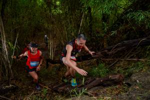 BIB: 
                            <button type="button" onclick="openModal(22019169)" class="btn btn-primary btn-sm float-right btn-popup" data-toggle="modal" data-target=".modal-high-quality">
                        <i class="fas fa-shopping-cart"></i> Add to Cart
                    </button>
                                            <button type="button" onclick="isThisMe(22019169, true)" class="btn btn-success btn-sm float-right btn-popup btn-isme hidden" data-toggle="tooltip" data-placement="bottom" title="นี่คือรูปของคุณใช่ไหม คลิกที่นี่เพื่อเอาเข้าอัลบั้ม">
                        <i class="fas fa-plus"></i> Add to album
                    </button>
                    <button type="button" onclick="isThisMe(22019169, false)" class="btn btn-warning btn-sm float-right btn-popup btn-isnotme hidden">
                        <i class="fas fa-ban"></i> Remove from album
                    </button>