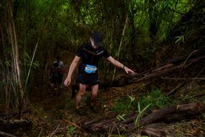 BIB: 
                            <button type="button" onclick="openModal(22019406)" class="btn btn-primary btn-sm float-right btn-popup" data-toggle="modal" data-target=".modal-high-quality">
                        <i class="fas fa-shopping-cart"></i> Add to Cart
                    </button>
                                            <button type="button" onclick="isThisMe(22019406, true)" class="btn btn-success btn-sm float-right btn-popup btn-isme hidden" data-toggle="tooltip" data-placement="bottom" title="นี่คือรูปของคุณใช่ไหม คลิกที่นี่เพื่อเอาเข้าอัลบั้ม">
                        <i class="fas fa-plus"></i> Add to album
                    </button>
                    <button type="button" onclick="isThisMe(22019406, false)" class="btn btn-warning btn-sm float-right btn-popup btn-isnotme hidden">
                        <i class="fas fa-ban"></i> Remove from album
                    </button>