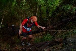 BIB: 
                            <button type="button" onclick="openModal(22024853)" class="btn btn-primary btn-sm float-right btn-popup" data-toggle="modal" data-target=".modal-high-quality">
                        <i class="fas fa-shopping-cart"></i> Add to Cart
                    </button>
                                            <button type="button" onclick="isThisMe(22024853, true)" class="btn btn-success btn-sm float-right btn-popup btn-isme hidden" data-toggle="tooltip" data-placement="bottom" title="นี่คือรูปของคุณใช่ไหม คลิกที่นี่เพื่อเอาเข้าอัลบั้ม">
                        <i class="fas fa-plus"></i> Add to album
                    </button>
                    <button type="button" onclick="isThisMe(22024853, false)" class="btn btn-warning btn-sm float-right btn-popup btn-isnotme hidden">
                        <i class="fas fa-ban"></i> Remove from album
                    </button>