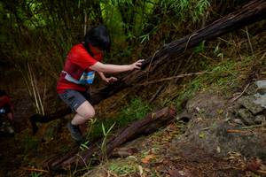 BIB: 
                            <button type="button" onclick="openModal(22019502)" class="btn btn-primary btn-sm float-right btn-popup" data-toggle="modal" data-target=".modal-high-quality">
                        <i class="fas fa-shopping-cart"></i> Add to Cart
                    </button>
                                            <button type="button" onclick="isThisMe(22019502, true)" class="btn btn-success btn-sm float-right btn-popup btn-isme hidden" data-toggle="tooltip" data-placement="bottom" title="นี่คือรูปของคุณใช่ไหม คลิกที่นี่เพื่อเอาเข้าอัลบั้ม">
                        <i class="fas fa-plus"></i> Add to album
                    </button>
                    <button type="button" onclick="isThisMe(22019502, false)" class="btn btn-warning btn-sm float-right btn-popup btn-isnotme hidden">
                        <i class="fas fa-ban"></i> Remove from album
                    </button>