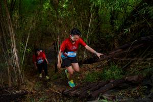 BIB: 
                            <button type="button" onclick="openModal(22024583)" class="btn btn-primary btn-sm float-right btn-popup" data-toggle="modal" data-target=".modal-high-quality">
                        <i class="fas fa-shopping-cart"></i> Add to Cart
                    </button>
                                            <button type="button" onclick="isThisMe(22024583, true)" class="btn btn-success btn-sm float-right btn-popup btn-isme hidden" data-toggle="tooltip" data-placement="bottom" title="นี่คือรูปของคุณใช่ไหม คลิกที่นี่เพื่อเอาเข้าอัลบั้ม">
                        <i class="fas fa-plus"></i> Add to album
                    </button>
                    <button type="button" onclick="isThisMe(22024583, false)" class="btn btn-warning btn-sm float-right btn-popup btn-isnotme hidden">
                        <i class="fas fa-ban"></i> Remove from album
                    </button>