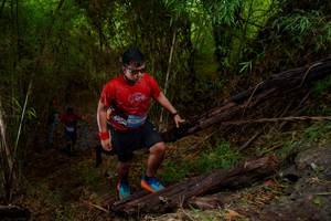 BIB: 
                            <button type="button" onclick="openModal(22022610)" class="btn btn-primary btn-sm float-right btn-popup" data-toggle="modal" data-target=".modal-high-quality">
                        <i class="fas fa-shopping-cart"></i> Add to Cart
                    </button>
                                            <button type="button" onclick="isThisMe(22022610, true)" class="btn btn-success btn-sm float-right btn-popup btn-isme hidden" data-toggle="tooltip" data-placement="bottom" title="นี่คือรูปของคุณใช่ไหม คลิกที่นี่เพื่อเอาเข้าอัลบั้ม">
                        <i class="fas fa-plus"></i> Add to album
                    </button>
                    <button type="button" onclick="isThisMe(22022610, false)" class="btn btn-warning btn-sm float-right btn-popup btn-isnotme hidden">
                        <i class="fas fa-ban"></i> Remove from album
                    </button>