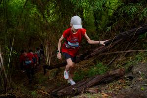 BIB: 
                            <button type="button" onclick="openModal(22019785)" class="btn btn-primary btn-sm float-right btn-popup" data-toggle="modal" data-target=".modal-high-quality">
                        <i class="fas fa-shopping-cart"></i> Add to Cart
                    </button>
                                            <button type="button" onclick="isThisMe(22019785, true)" class="btn btn-success btn-sm float-right btn-popup btn-isme hidden" data-toggle="tooltip" data-placement="bottom" title="นี่คือรูปของคุณใช่ไหม คลิกที่นี่เพื่อเอาเข้าอัลบั้ม">
                        <i class="fas fa-plus"></i> Add to album
                    </button>
                    <button type="button" onclick="isThisMe(22019785, false)" class="btn btn-warning btn-sm float-right btn-popup btn-isnotme hidden">
                        <i class="fas fa-ban"></i> Remove from album
                    </button>