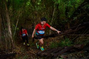 BIB: 1199
                            <button type="button" onclick="openModal(22024581)" class="btn btn-primary btn-sm float-right btn-popup" data-toggle="modal" data-target=".modal-high-quality">
                        <i class="fas fa-shopping-cart"></i> Add to Cart
                    </button>
                                            <button type="button" onclick="isThisMe(22024581, true)" class="btn btn-success btn-sm float-right btn-popup btn-isme hidden" data-toggle="tooltip" data-placement="bottom" title="นี่คือรูปของคุณใช่ไหม คลิกที่นี่เพื่อเอาเข้าอัลบั้ม">
                        <i class="fas fa-plus"></i> Add to album
                    </button>
                    <button type="button" onclick="isThisMe(22024581, false)" class="btn btn-warning btn-sm float-right btn-popup btn-isnotme hidden">
                        <i class="fas fa-ban"></i> Remove from album
                    </button>