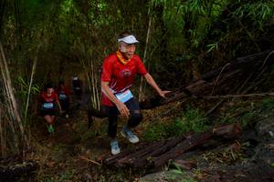 BIB: 
                            <button type="button" onclick="openModal(22024556)" class="btn btn-primary btn-sm float-right btn-popup" data-toggle="modal" data-target=".modal-high-quality">
                        <i class="fas fa-shopping-cart"></i> Add to Cart
                    </button>
                                            <button type="button" onclick="isThisMe(22024556, true)" class="btn btn-success btn-sm float-right btn-popup btn-isme hidden" data-toggle="tooltip" data-placement="bottom" title="นี่คือรูปของคุณใช่ไหม คลิกที่นี่เพื่อเอาเข้าอัลบั้ม">
                        <i class="fas fa-plus"></i> Add to album
                    </button>
                    <button type="button" onclick="isThisMe(22024556, false)" class="btn btn-warning btn-sm float-right btn-popup btn-isnotme hidden">
                        <i class="fas fa-ban"></i> Remove from album
                    </button>