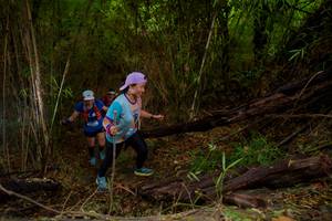 BIB: 
                            <button type="button" onclick="openModal(22019581)" class="btn btn-primary btn-sm float-right btn-popup" data-toggle="modal" data-target=".modal-high-quality">
                        <i class="fas fa-shopping-cart"></i> Add to Cart
                    </button>
                                            <button type="button" onclick="isThisMe(22019581, true)" class="btn btn-success btn-sm float-right btn-popup btn-isme hidden" data-toggle="tooltip" data-placement="bottom" title="นี่คือรูปของคุณใช่ไหม คลิกที่นี่เพื่อเอาเข้าอัลบั้ม">
                        <i class="fas fa-plus"></i> Add to album
                    </button>
                    <button type="button" onclick="isThisMe(22019581, false)" class="btn btn-warning btn-sm float-right btn-popup btn-isnotme hidden">
                        <i class="fas fa-ban"></i> Remove from album
                    </button>