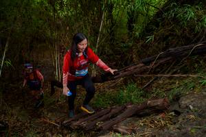 BIB: 
                            <button type="button" onclick="openModal(22023159)" class="btn btn-primary btn-sm float-right btn-popup" data-toggle="modal" data-target=".modal-high-quality">
                        <i class="fas fa-shopping-cart"></i> Add to Cart
                    </button>
                                            <button type="button" onclick="isThisMe(22023159, true)" class="btn btn-success btn-sm float-right btn-popup btn-isme hidden" data-toggle="tooltip" data-placement="bottom" title="นี่คือรูปของคุณใช่ไหม คลิกที่นี่เพื่อเอาเข้าอัลบั้ม">
                        <i class="fas fa-plus"></i> Add to album
                    </button>
                    <button type="button" onclick="isThisMe(22023159, false)" class="btn btn-warning btn-sm float-right btn-popup btn-isnotme hidden">
                        <i class="fas fa-ban"></i> Remove from album
                    </button>