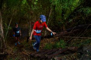 BIB: 
                            <button type="button" onclick="openModal(22024496)" class="btn btn-primary btn-sm float-right btn-popup" data-toggle="modal" data-target=".modal-high-quality">
                        <i class="fas fa-shopping-cart"></i> Add to Cart
                    </button>
                                            <button type="button" onclick="isThisMe(22024496, true)" class="btn btn-success btn-sm float-right btn-popup btn-isme hidden" data-toggle="tooltip" data-placement="bottom" title="นี่คือรูปของคุณใช่ไหม คลิกที่นี่เพื่อเอาเข้าอัลบั้ม">
                        <i class="fas fa-plus"></i> Add to album
                    </button>
                    <button type="button" onclick="isThisMe(22024496, false)" class="btn btn-warning btn-sm float-right btn-popup btn-isnotme hidden">
                        <i class="fas fa-ban"></i> Remove from album
                    </button>