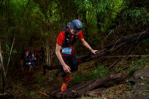 BIB: 134
                            <button type="button" onclick="openModal(22019806)" class="btn btn-primary btn-sm float-right btn-popup" data-toggle="modal" data-target=".modal-high-quality">
                        <i class="fas fa-shopping-cart"></i> Add to Cart
                    </button>
                                            <button type="button" onclick="isThisMe(22019806, true)" class="btn btn-success btn-sm float-right btn-popup btn-isme hidden" data-toggle="tooltip" data-placement="bottom" title="นี่คือรูปของคุณใช่ไหม คลิกที่นี่เพื่อเอาเข้าอัลบั้ม">
                        <i class="fas fa-plus"></i> Add to album
                    </button>
                    <button type="button" onclick="isThisMe(22019806, false)" class="btn btn-warning btn-sm float-right btn-popup btn-isnotme hidden">
                        <i class="fas fa-ban"></i> Remove from album
                    </button>