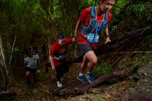 BIB: 
                            <button type="button" onclick="openModal(22019799)" class="btn btn-primary btn-sm float-right btn-popup" data-toggle="modal" data-target=".modal-high-quality">
                        <i class="fas fa-shopping-cart"></i> Add to Cart
                    </button>
                                            <button type="button" onclick="isThisMe(22019799, true)" class="btn btn-success btn-sm float-right btn-popup btn-isme hidden" data-toggle="tooltip" data-placement="bottom" title="นี่คือรูปของคุณใช่ไหม คลิกที่นี่เพื่อเอาเข้าอัลบั้ม">
                        <i class="fas fa-plus"></i> Add to album
                    </button>
                    <button type="button" onclick="isThisMe(22019799, false)" class="btn btn-warning btn-sm float-right btn-popup btn-isnotme hidden">
                        <i class="fas fa-ban"></i> Remove from album
                    </button>