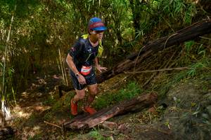 BIB: 
                            <button type="button" onclick="openModal(22025212)" class="btn btn-primary btn-sm float-right btn-popup" data-toggle="modal" data-target=".modal-high-quality">
                        <i class="fas fa-shopping-cart"></i> Add to Cart
                    </button>
                                            <button type="button" onclick="isThisMe(22025212, true)" class="btn btn-success btn-sm float-right btn-popup btn-isme hidden" data-toggle="tooltip" data-placement="bottom" title="นี่คือรูปของคุณใช่ไหม คลิกที่นี่เพื่อเอาเข้าอัลบั้ม">
                        <i class="fas fa-plus"></i> Add to album
                    </button>
                    <button type="button" onclick="isThisMe(22025212, false)" class="btn btn-warning btn-sm float-right btn-popup btn-isnotme hidden">
                        <i class="fas fa-ban"></i> Remove from album
                    </button>