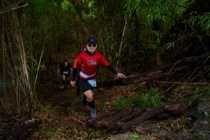 BIB: 
                            <button type="button" onclick="openModal(22023825)" class="btn btn-primary btn-sm float-right btn-popup" data-toggle="modal" data-target=".modal-high-quality">
                        <i class="fas fa-shopping-cart"></i> Add to Cart
                    </button>
                                            <button type="button" onclick="isThisMe(22023825, true)" class="btn btn-success btn-sm float-right btn-popup btn-isme hidden" data-toggle="tooltip" data-placement="bottom" title="นี่คือรูปของคุณใช่ไหม คลิกที่นี่เพื่อเอาเข้าอัลบั้ม">
                        <i class="fas fa-plus"></i> Add to album
                    </button>
                    <button type="button" onclick="isThisMe(22023825, false)" class="btn btn-warning btn-sm float-right btn-popup btn-isnotme hidden">
                        <i class="fas fa-ban"></i> Remove from album
                    </button>