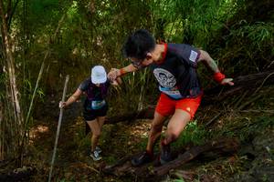 BIB: 
                            <button type="button" onclick="openModal(22025068)" class="btn btn-primary btn-sm float-right btn-popup" data-toggle="modal" data-target=".modal-high-quality">
                        <i class="fas fa-shopping-cart"></i> Add to Cart
                    </button>
                                            <button type="button" onclick="isThisMe(22025068, true)" class="btn btn-success btn-sm float-right btn-popup btn-isme hidden" data-toggle="tooltip" data-placement="bottom" title="นี่คือรูปของคุณใช่ไหม คลิกที่นี่เพื่อเอาเข้าอัลบั้ม">
                        <i class="fas fa-plus"></i> Add to album
                    </button>
                    <button type="button" onclick="isThisMe(22025068, false)" class="btn btn-warning btn-sm float-right btn-popup btn-isnotme hidden">
                        <i class="fas fa-ban"></i> Remove from album
                    </button>