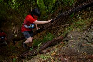 BIB: 
                            <button type="button" onclick="openModal(22019501)" class="btn btn-primary btn-sm float-right btn-popup" data-toggle="modal" data-target=".modal-high-quality">
                        <i class="fas fa-shopping-cart"></i> Add to Cart
                    </button>
                                            <button type="button" onclick="isThisMe(22019501, true)" class="btn btn-success btn-sm float-right btn-popup btn-isme hidden" data-toggle="tooltip" data-placement="bottom" title="นี่คือรูปของคุณใช่ไหม คลิกที่นี่เพื่อเอาเข้าอัลบั้ม">
                        <i class="fas fa-plus"></i> Add to album
                    </button>
                    <button type="button" onclick="isThisMe(22019501, false)" class="btn btn-warning btn-sm float-right btn-popup btn-isnotme hidden">
                        <i class="fas fa-ban"></i> Remove from album
                    </button>