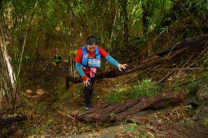 BIB: 315
                            <button type="button" onclick="openModal(21983994)" class="btn btn-primary btn-sm float-right btn-popup" data-toggle="modal" data-target=".modal-high-quality">
                        <i class="fas fa-shopping-cart"></i> Add to Cart
                    </button>
                                            <button type="button" onclick="isThisMe(21983994, true)" class="btn btn-success btn-sm float-right btn-popup btn-isme hidden" data-toggle="tooltip" data-placement="bottom" title="นี่คือรูปของคุณใช่ไหม คลิกที่นี่เพื่อเอาเข้าอัลบั้ม">
                        <i class="fas fa-plus"></i> Add to album
                    </button>
                    <button type="button" onclick="isThisMe(21983994, false)" class="btn btn-warning btn-sm float-right btn-popup btn-isnotme hidden">
                        <i class="fas fa-ban"></i> Remove from album
                    </button>