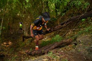 BIB: 
                            <button type="button" onclick="openModal(21983991)" class="btn btn-primary btn-sm float-right btn-popup" data-toggle="modal" data-target=".modal-high-quality">
                        <i class="fas fa-shopping-cart"></i> Add to Cart
                    </button>
                                            <button type="button" onclick="isThisMe(21983991, true)" class="btn btn-success btn-sm float-right btn-popup btn-isme hidden" data-toggle="tooltip" data-placement="bottom" title="นี่คือรูปของคุณใช่ไหม คลิกที่นี่เพื่อเอาเข้าอัลบั้ม">
                        <i class="fas fa-plus"></i> Add to album
                    </button>
                    <button type="button" onclick="isThisMe(21983991, false)" class="btn btn-warning btn-sm float-right btn-popup btn-isnotme hidden">
                        <i class="fas fa-ban"></i> Remove from album
                    </button>