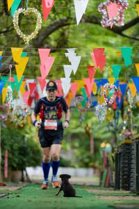 BIB: 
                            <button type="button" onclick="openModal(22031248)" class="btn btn-primary btn-sm float-right btn-popup" data-toggle="modal" data-target=".modal-high-quality">
                        <i class="fas fa-shopping-cart"></i> Add to Cart
                    </button>
                                            <button type="button" onclick="isThisMe(22031248, true)" class="btn btn-success btn-sm float-right btn-popup btn-isme hidden" data-toggle="tooltip" data-placement="bottom" title="นี่คือรูปของคุณใช่ไหม คลิกที่นี่เพื่อเอาเข้าอัลบั้ม">
                        <i class="fas fa-plus"></i> Add to album
                    </button>
                    <button type="button" onclick="isThisMe(22031248, false)" class="btn btn-warning btn-sm float-right btn-popup btn-isnotme hidden">
                        <i class="fas fa-ban"></i> Remove from album
                    </button>