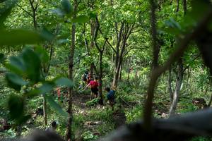 BIB: 
                            <button type="button" onclick="openModal(24955383)" class="btn btn-primary btn-sm float-right btn-popup" data-toggle="modal" data-target=".modal-high-quality">
                        <i class="fas fa-shopping-cart"></i> Add to Cart
                    </button>
                                            <button type="button" onclick="isThisMe(24955383, true)" class="btn btn-success btn-sm float-right btn-popup btn-isme hidden" data-toggle="tooltip" data-placement="bottom" title="นี่คือรูปของคุณใช่ไหม คลิกที่นี่เพื่อเอาเข้าอัลบั้ม">
                        <i class="fas fa-plus"></i> Add to album
                    </button>
                    <button type="button" onclick="isThisMe(24955383, false)" class="btn btn-warning btn-sm float-right btn-popup btn-isnotme hidden">
                        <i class="fas fa-ban"></i> Remove from album
                    </button>