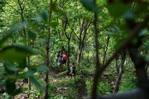 BIB: 
                            <button type="button" onclick="openModal(24955379)" class="btn btn-primary btn-sm float-right btn-popup" data-toggle="modal" data-target=".modal-high-quality">
                        <i class="fas fa-shopping-cart"></i> Add to Cart
                    </button>
                                            <button type="button" onclick="isThisMe(24955379, true)" class="btn btn-success btn-sm float-right btn-popup btn-isme hidden" data-toggle="tooltip" data-placement="bottom" title="นี่คือรูปของคุณใช่ไหม คลิกที่นี่เพื่อเอาเข้าอัลบั้ม">
                        <i class="fas fa-plus"></i> Add to album
                    </button>
                    <button type="button" onclick="isThisMe(24955379, false)" class="btn btn-warning btn-sm float-right btn-popup btn-isnotme hidden">
                        <i class="fas fa-ban"></i> Remove from album
                    </button>