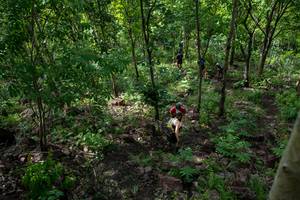 BIB: 
                            <button type="button" onclick="openModal(24952895)" class="btn btn-primary btn-sm float-right btn-popup" data-toggle="modal" data-target=".modal-high-quality">
                        <i class="fas fa-shopping-cart"></i> Add to Cart
                    </button>
                                            <button type="button" onclick="isThisMe(24952895, true)" class="btn btn-success btn-sm float-right btn-popup btn-isme hidden" data-toggle="tooltip" data-placement="bottom" title="นี่คือรูปของคุณใช่ไหม คลิกที่นี่เพื่อเอาเข้าอัลบั้ม">
                        <i class="fas fa-plus"></i> Add to album
                    </button>
                    <button type="button" onclick="isThisMe(24952895, false)" class="btn btn-warning btn-sm float-right btn-popup btn-isnotme hidden">
                        <i class="fas fa-ban"></i> Remove from album
                    </button>