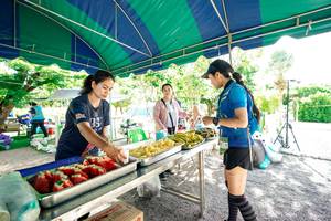 BIB: 
                            <button type="button" onclick="openModal(24988850)" class="btn btn-primary btn-sm float-right btn-popup" data-toggle="modal" data-target=".modal-high-quality">
                        <i class="fas fa-shopping-cart"></i> Add to Cart
                    </button>
                                            <button type="button" onclick="isThisMe(24988850, true)" class="btn btn-success btn-sm float-right btn-popup btn-isme hidden" data-toggle="tooltip" data-placement="bottom" title="นี่คือรูปของคุณใช่ไหม คลิกที่นี่เพื่อเอาเข้าอัลบั้ม">
                        <i class="fas fa-plus"></i> Add to album
                    </button>
                    <button type="button" onclick="isThisMe(24988850, false)" class="btn btn-warning btn-sm float-right btn-popup btn-isnotme hidden">
                        <i class="fas fa-ban"></i> Remove from album
                    </button>