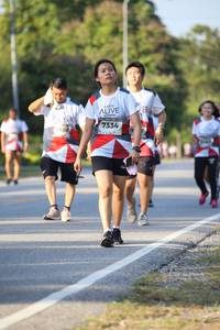 BIB: 7334, 108
                            <button type="button" onclick="openModal(6161951)" class="btn btn-primary btn-sm float-right btn-popup" data-toggle="modal" data-target=".modal-high-quality">
                        <i class="fas fa-shopping-cart"></i> Add to Cart
                    </button>
                                            <button type="button" onclick="isThisMe(6161951, true)" class="btn btn-success btn-sm float-right btn-popup btn-isme hidden" data-toggle="tooltip" data-placement="bottom" title="นี่คือรูปของคุณใช่ไหม คลิกที่นี่เพื่อเอาเข้าอัลบั้ม">
                        <i class="fas fa-plus"></i> Add to album
                    </button>
                    <button type="button" onclick="isThisMe(6161951, false)" class="btn btn-warning btn-sm float-right btn-popup btn-isnotme hidden">
                        <i class="fas fa-ban"></i> Remove from album
                    </button>