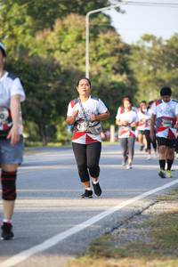 BIB: 
                            <button type="button" onclick="openModal(6161055)" class="btn btn-primary btn-sm float-right btn-popup" data-toggle="modal" data-target=".modal-high-quality">
                        <i class="fas fa-shopping-cart"></i> Add to Cart
                    </button>
                                            <button type="button" onclick="isThisMe(6161055, true)" class="btn btn-success btn-sm float-right btn-popup btn-isme hidden" data-toggle="tooltip" data-placement="bottom" title="นี่คือรูปของคุณใช่ไหม คลิกที่นี่เพื่อเอาเข้าอัลบั้ม">
                        <i class="fas fa-plus"></i> Add to album
                    </button>
                    <button type="button" onclick="isThisMe(6161055, false)" class="btn btn-warning btn-sm float-right btn-popup btn-isnotme hidden">
                        <i class="fas fa-ban"></i> Remove from album
                    </button>